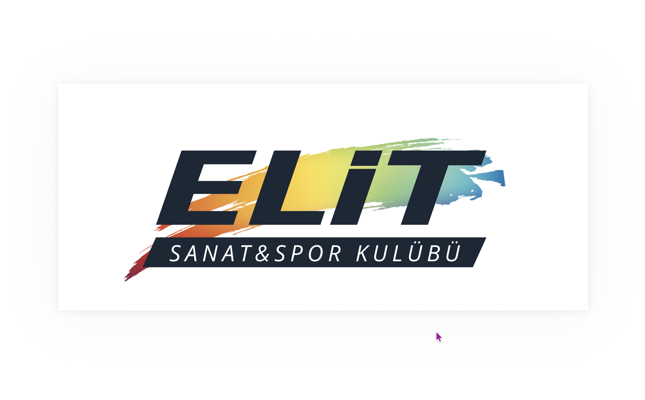 Elit Sanat ve Spor Kulübü